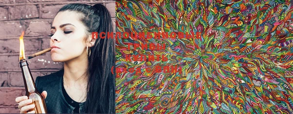 PSILOCYBIN Лиски