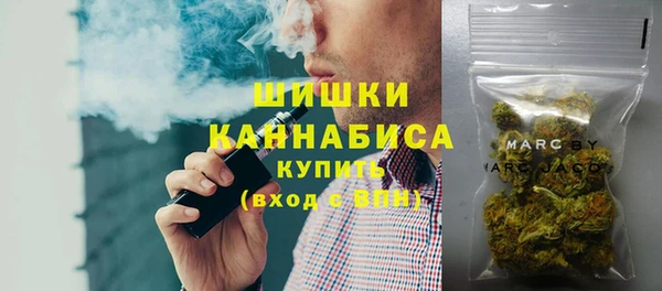 PSILOCYBIN Лиски